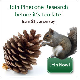 pinecone-banner